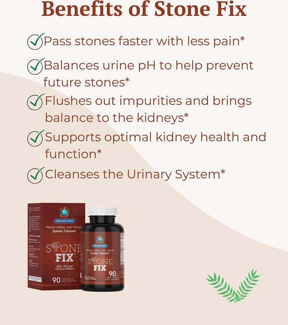 Chanca Piedra Stone Breaker - Powerful Kidney Cleanse Formula - Inositol Hexaphosphate, Hydrangea Root, and Holy Basil - Dissolves Stones Detoxify Kidneys and Flushes Impurities - 90 Vegetarian Capsules
