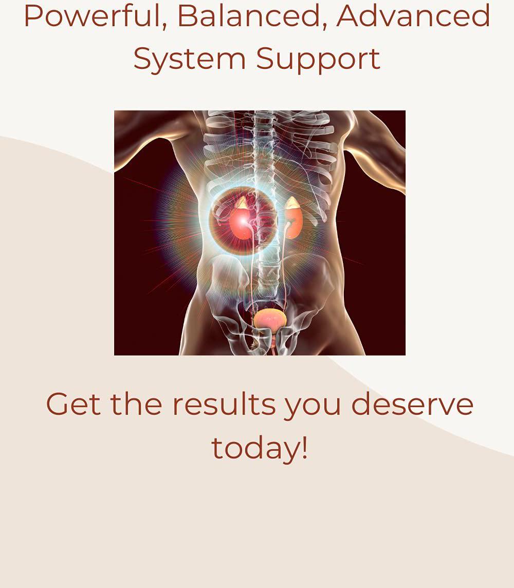 Chanca Piedra Stone Breaker - Powerful Kidney Cleanse Formula - Inositol Hexaphosphate, Hydrangea Root, and Holy Basil - Dissolves Stones Detoxify Kidneys and Flushes Impurities - 90 Vegetarian Capsules