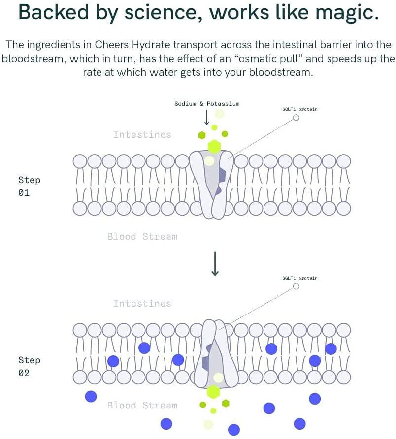 Cheers Hydrate ORS Electrolyte Powder- Electrolyte Supplement and Hydration Powder (24 Servings) - Hydration Electrolyte Supplement - Delicious Lemon/Lime