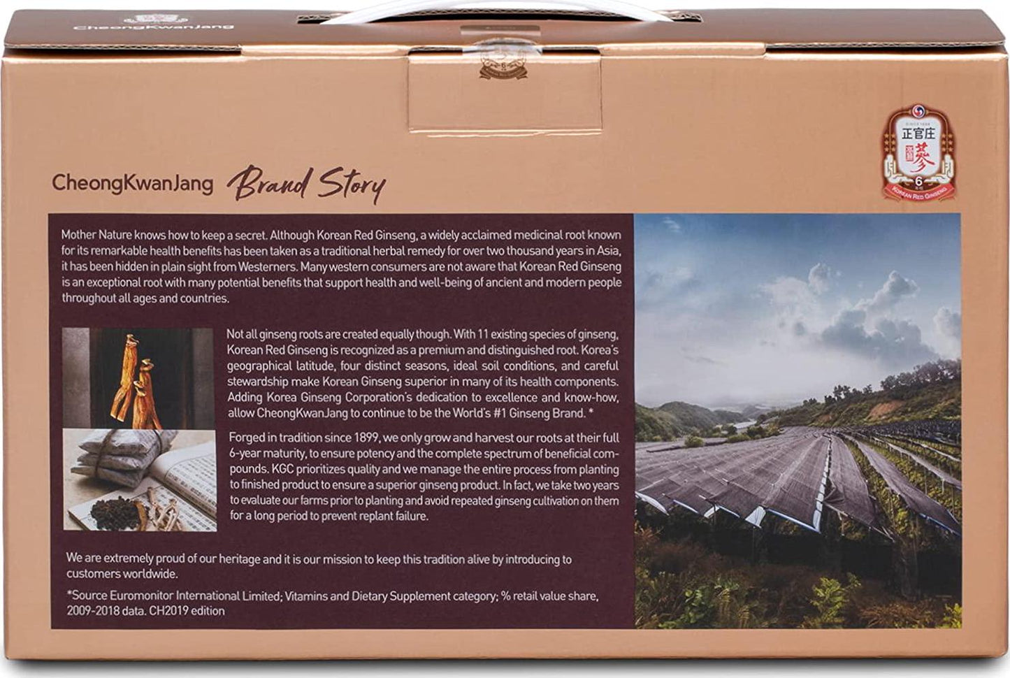 CheongKwanJang [Hong Sam Won Plus - Korean Ginseng Drink] Korean Red Panax Ginseng Extract Drink - Increase Productivity, Improve Blood Circulation and Brain Function - 30 Pouches