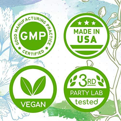 Chicory B60 Alcohol-Free Herbal Extract Tincture, Super-Concentrated Organic Chicory (Cichorium Intybus) Dried Root Powder (2 fl oz)