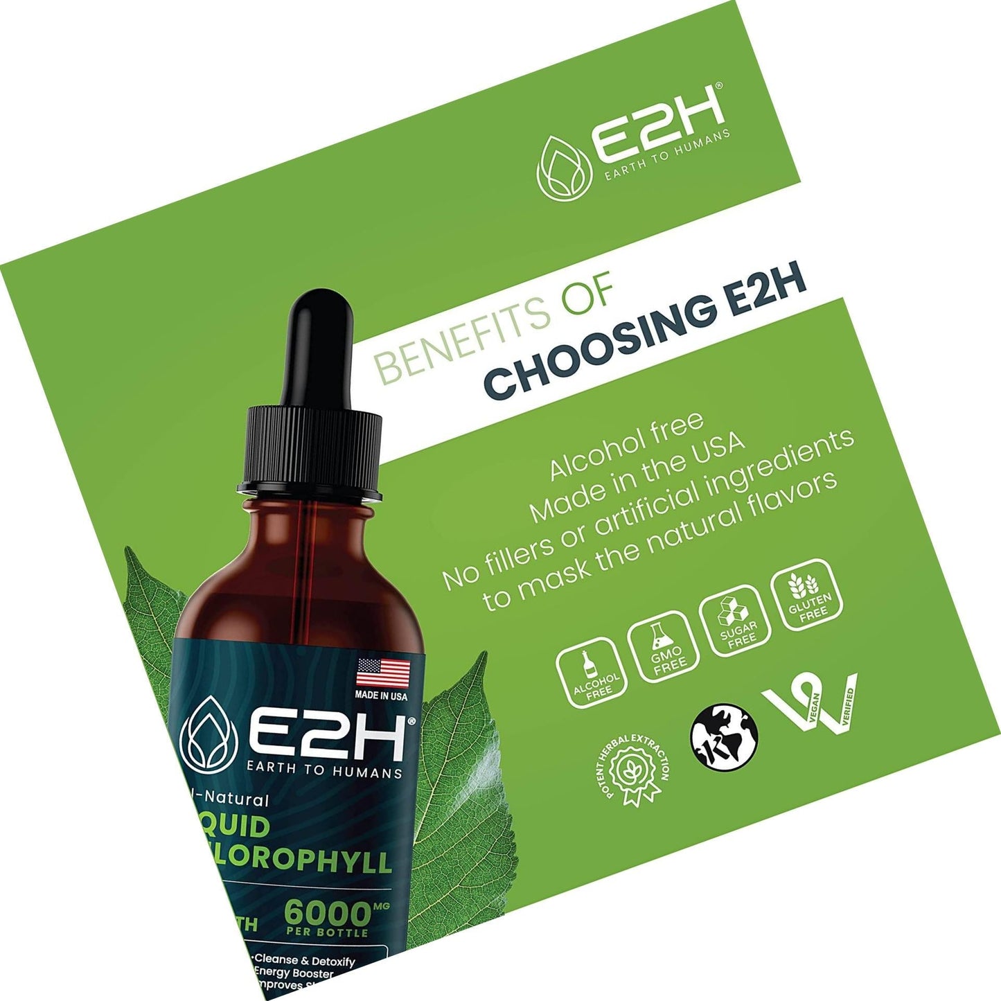 Chlorophyll Liquid Drops - 100% All-Natural Concentrate Energy Booster, Digestion and Immune System Supports, Internal Deodorant - Highly Absorbent Liquid Formula - 120 Servings