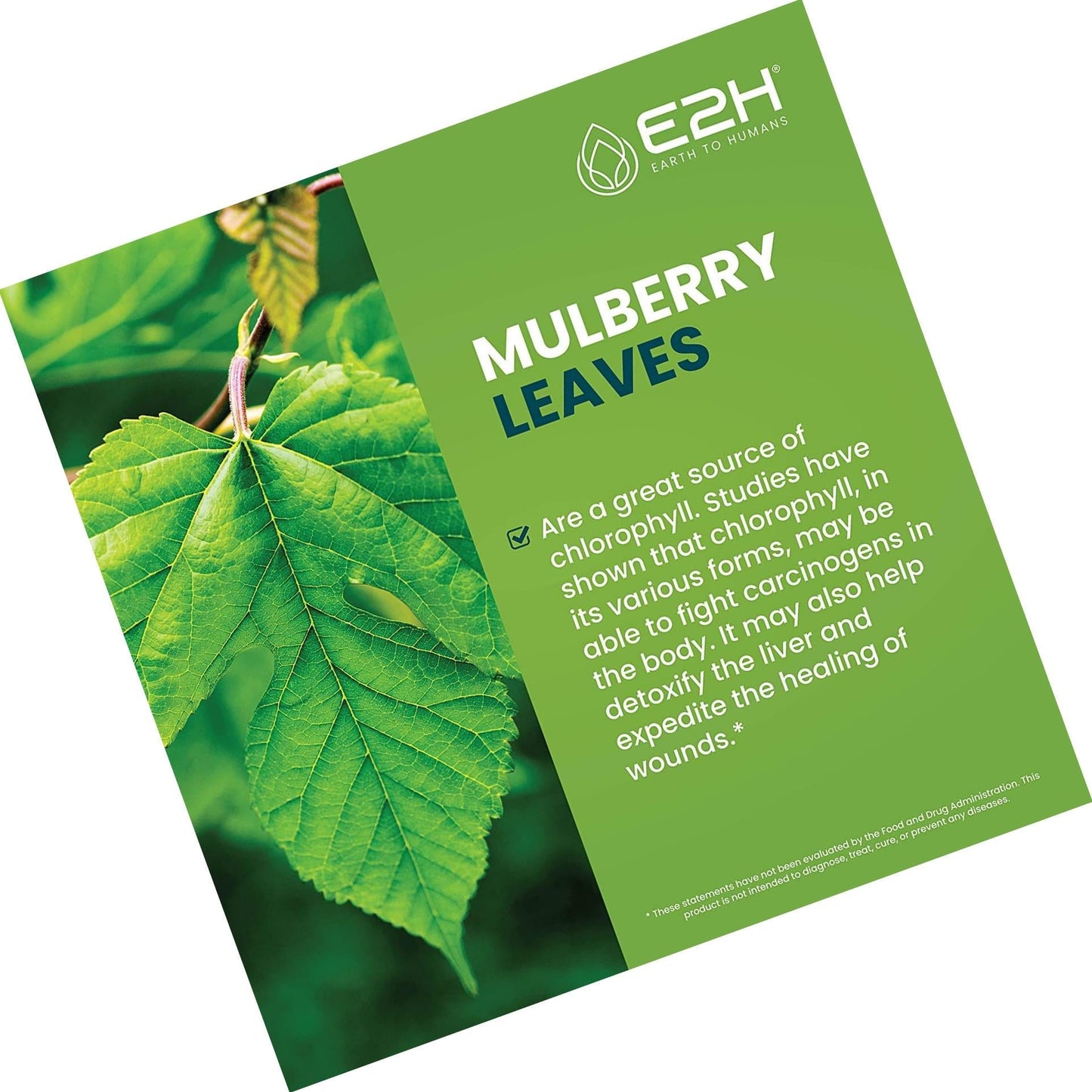 Chlorophyll Liquid Drops - 100% All-Natural Concentrate Energy Booster, Digestion and Immune System Supports, Internal Deodorant - Highly Absorbent Liquid Formula - 120 Servings