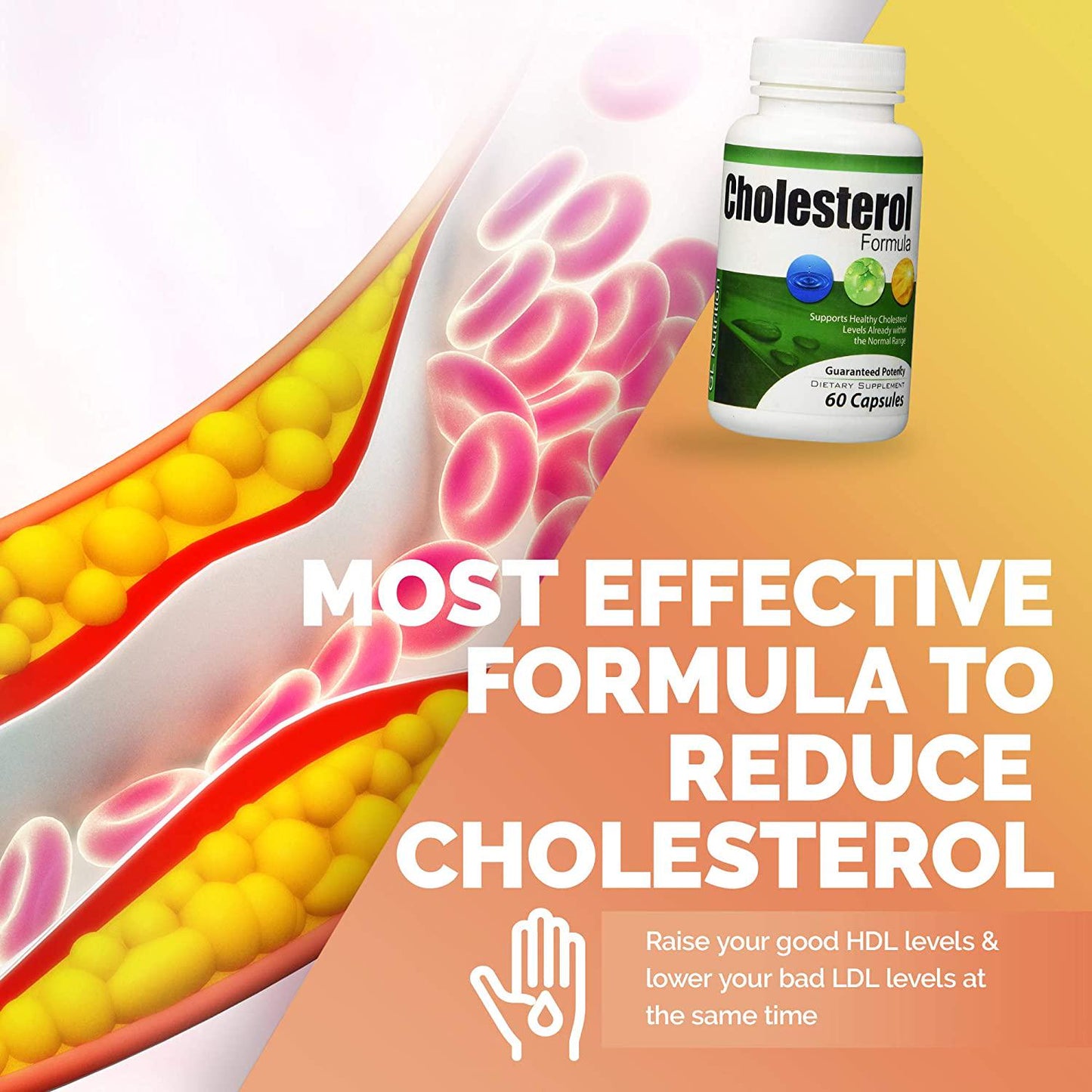 Cholesterol Formula (2 Pack) - Unique Blend of All-Natural Ingredients to Increase HDL and Lower LDL Levels | Supports Heart, Liver and Lungs | Cholesterol and Triglyceride Lowering Supplement
