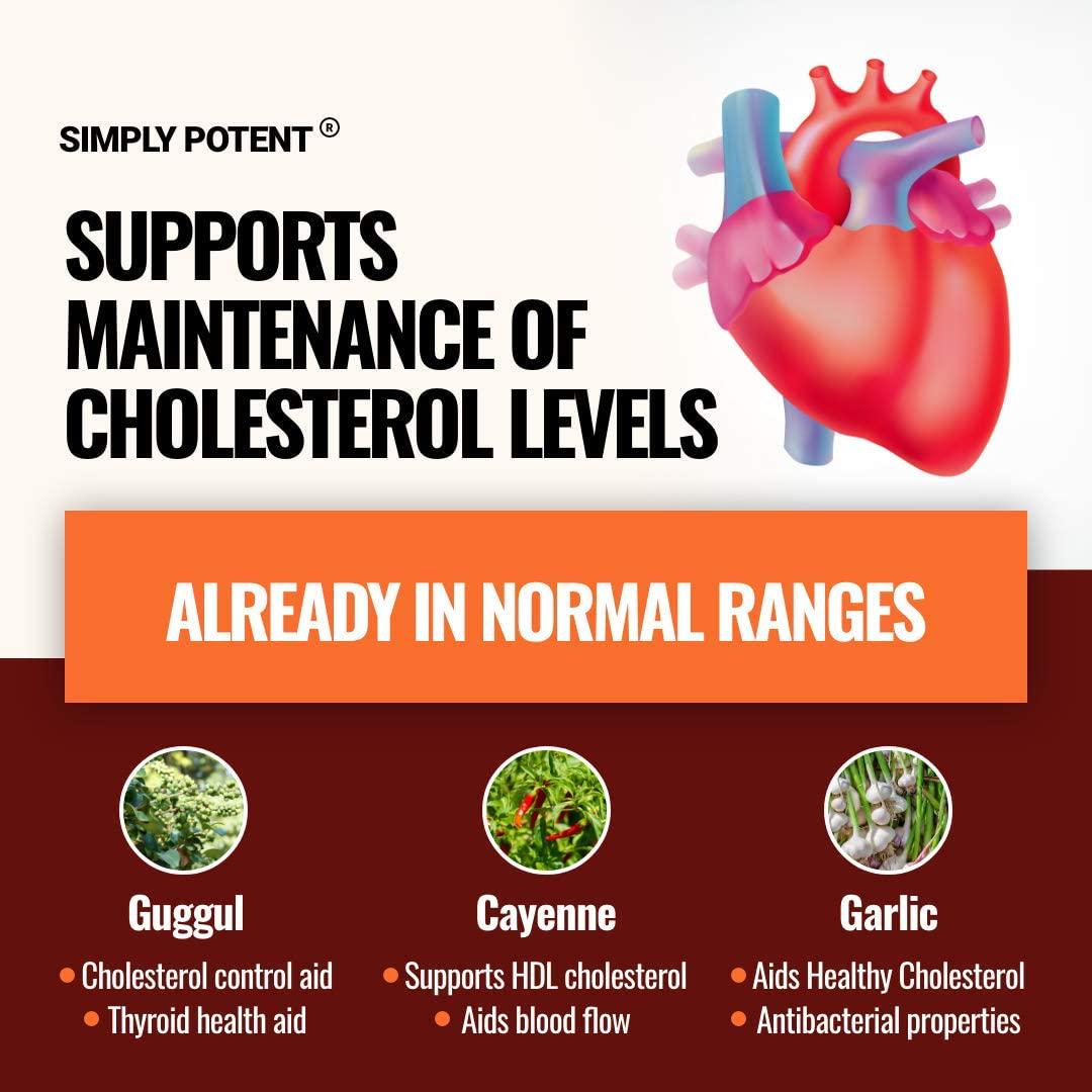Cholesterol Support Supplement for Heart Health with Niacin and Garlic Powder, Helps Lower High Cholesterol Bad LDL and Triglyceride Naturally, High Cholesterol Reducing Supplement, 60 Capsules