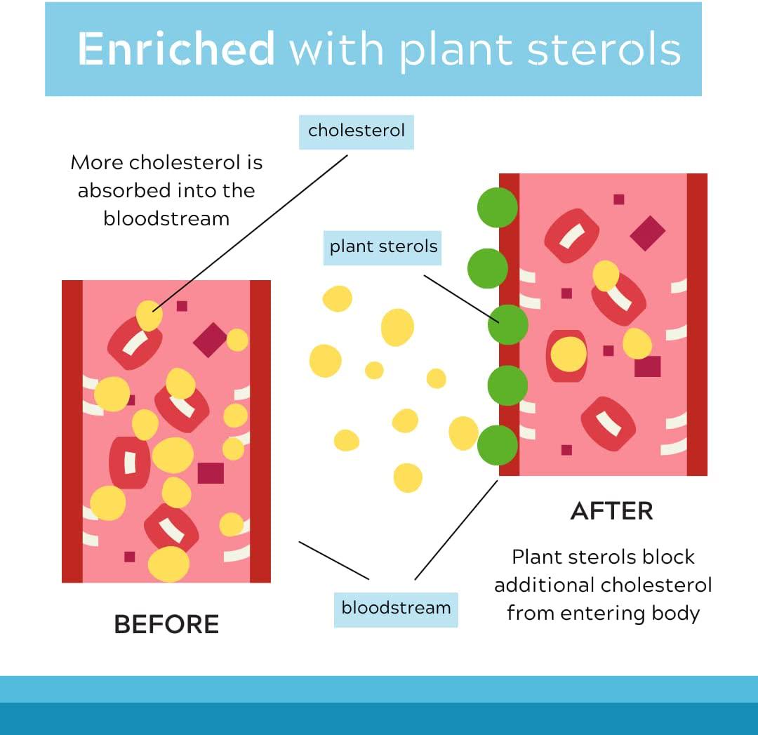 Cholestone - Organic Cholesterol Lowering Supplements for Cholestrol Control - Lecithin, Chromium, Flax Seed Oil, Garlic Extract and Apple Pectin - Contains Plant Sterols - 90 Tablets - Calivita