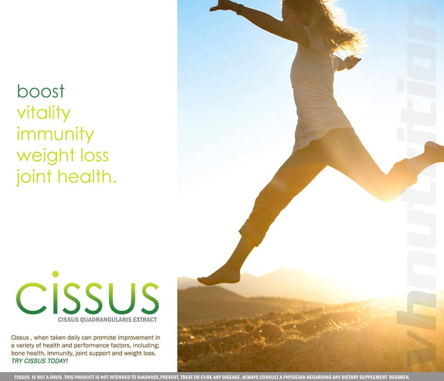 Cissus Quadrangularis Capsules | 1400mg per Serving | Bone and Joint Health Supplement | 30 Day Supply | VH Nutrition