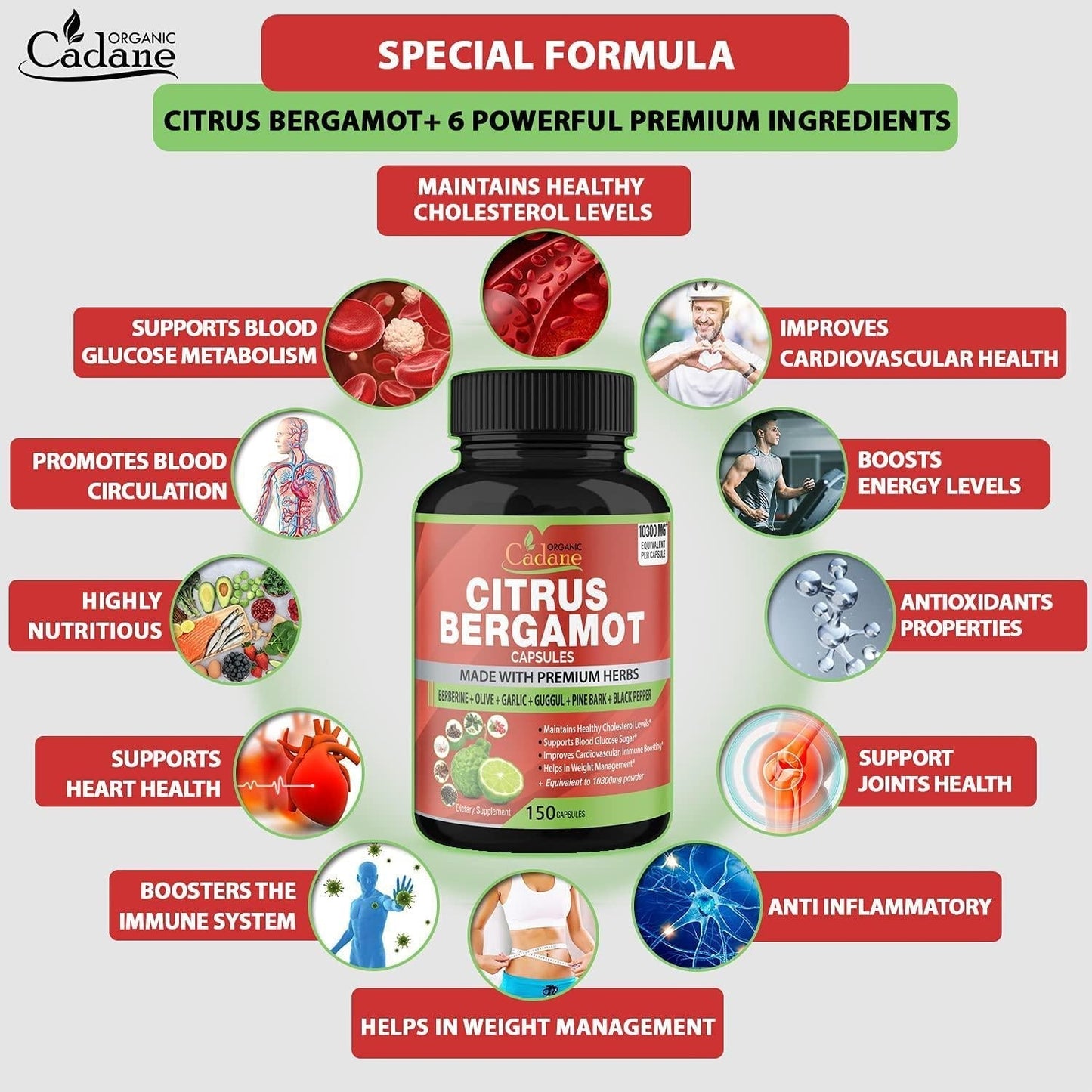 Citrus Bergamot Extract Capsules 10300mg, 5 Months Supply and Berberine, Olive, Guggul, Garlic, Pine Bark, Black Pepper | High Cholesterol Levels Lowering Supplements | Promotes Blood Sugar Pressure