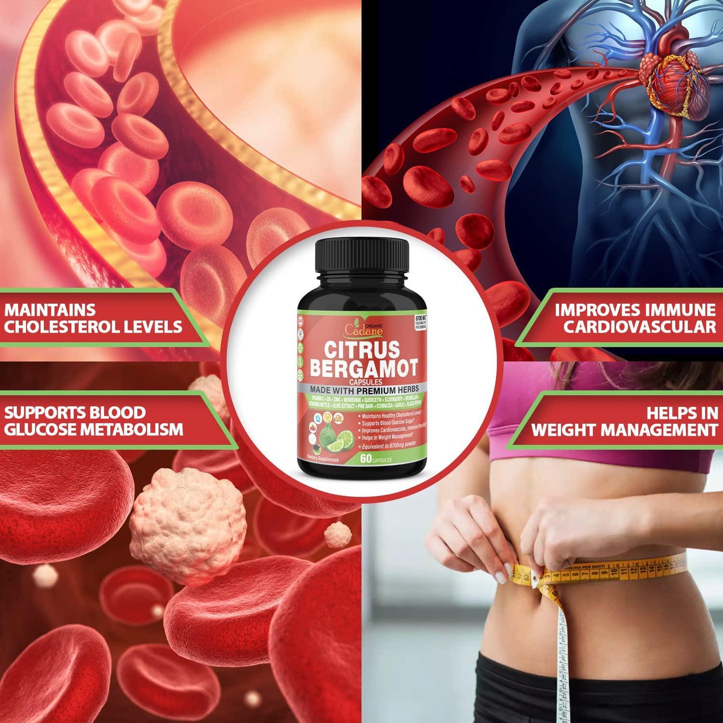 Citrus Bergamot Extract Capsules 8700mg and VitaminC, D3, Zin.C, Berberine, Quercetin, Elderberry, Bromelain, Olive and More | High Cholesterol Levels Lowering | Promotes Blood Sugar Pressure