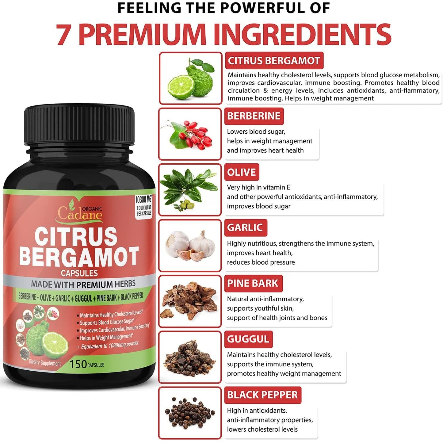 Citrus Bergamot Extract Capsules 10300mg, 5 Months Supply and Berberine, Olive, Guggul, Garlic, Pine Bark, Black Pepper | High Cholesterol Levels Lowering Supplements | Promotes Blood Sugar Pressure