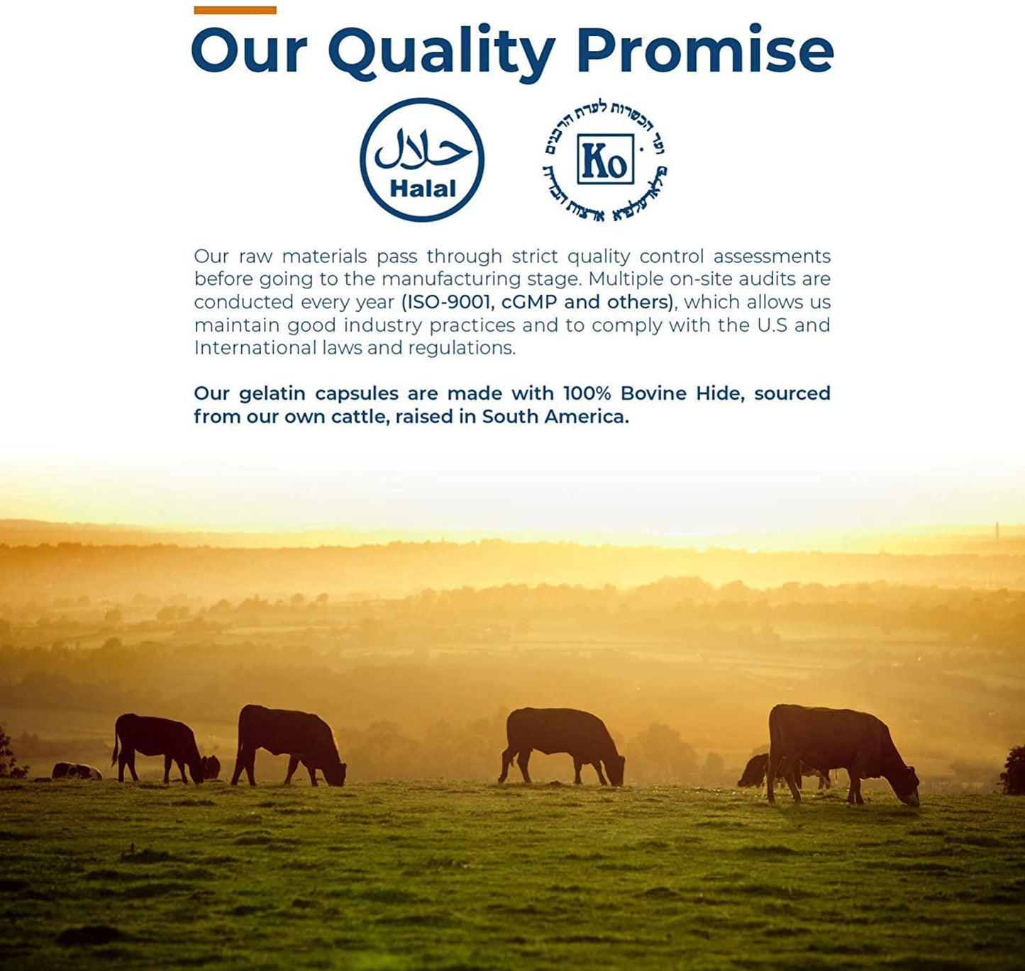 Clear Size 000 Empty Gelatin Capsules by Capsuline - 1000 Count