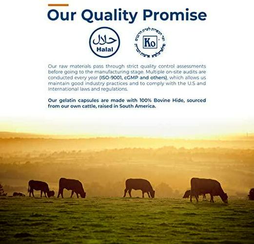 Clear Size 000 Empty Gelatin Capsules by Capsuline - 1000 Count