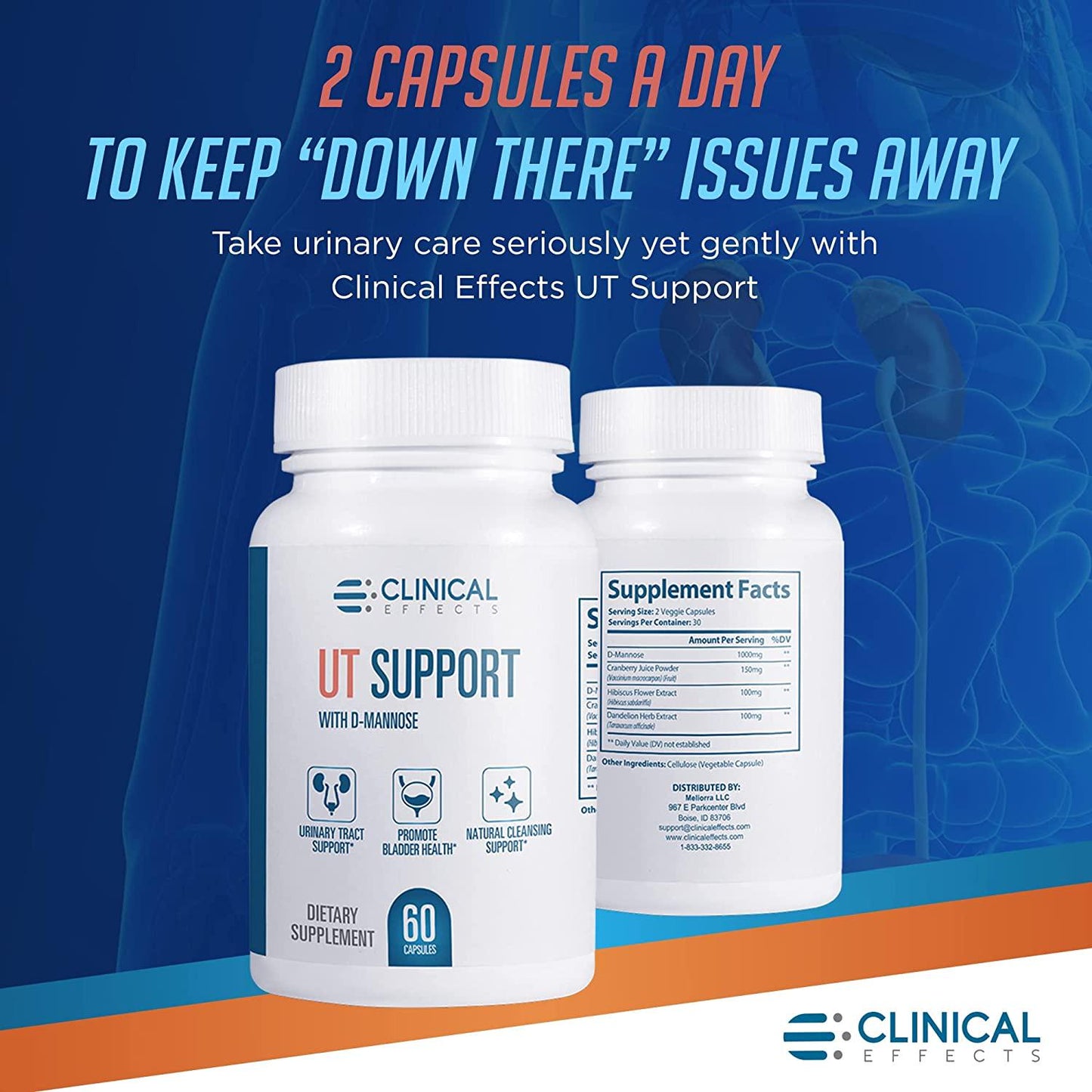 Clinical Effects UT Support - Natural Cleansing Support - 1000mg D Mannose with Cranberry, Dandelion, Hibiscus Extract - Urinary Tract Cleanse and Immune Support - 60 Veggie Capsules - Made in the USA