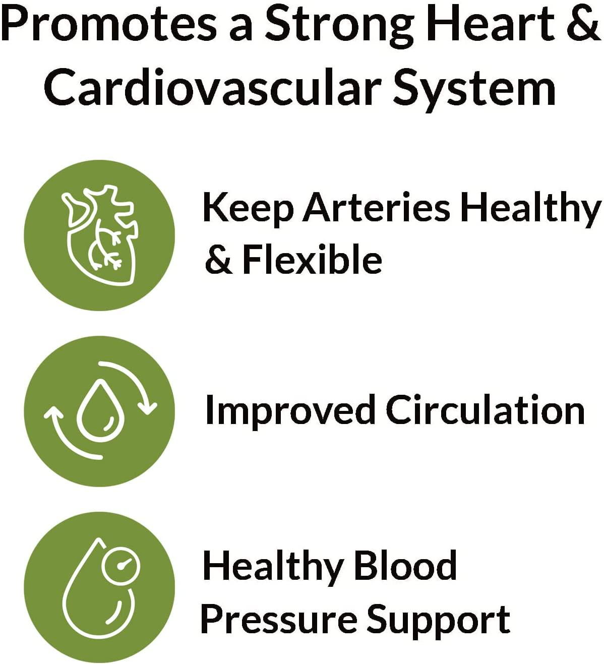 CocoaVia Cardio Health Cocoa Powder, 500mg Cocoa Flavanols, COSMOS Proven ingredient, Healthy Heart, Blood Pressure, Boost Nitric Oxide, Oxygen, Circulation, Energy, Vegan, Dark Chocolate, 30 servings