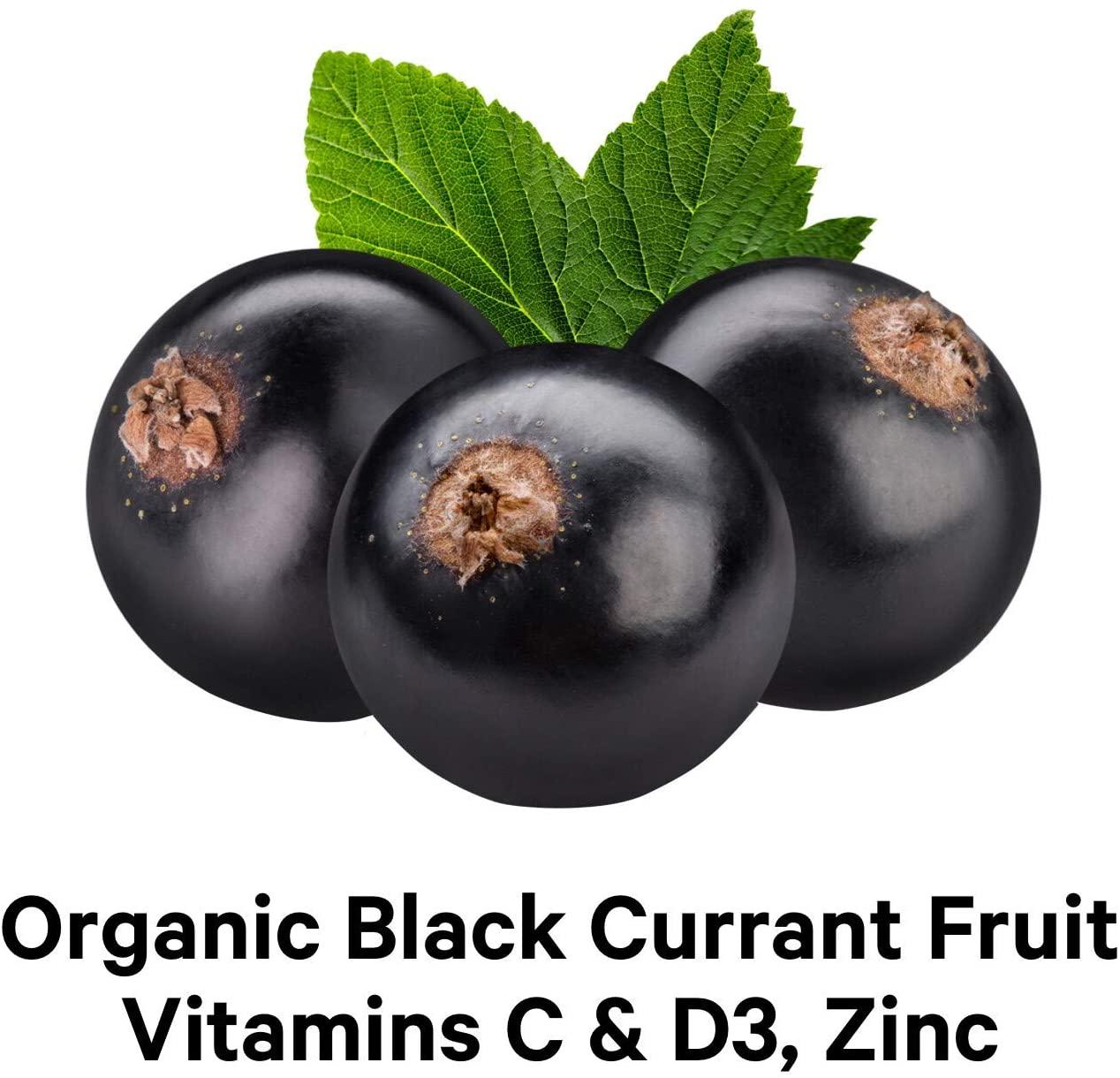 CodeAge Organic Black Elderberry Syrup Vitamins C D Zinc Blueberry and Raspberry - 4 fl oz