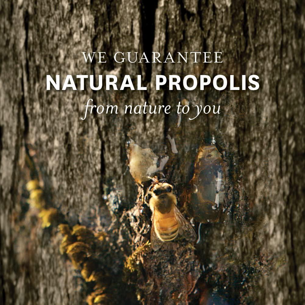 Comvita Propolis Soft Gel Capsules PFL 15, 365ct I Natural Immune Support