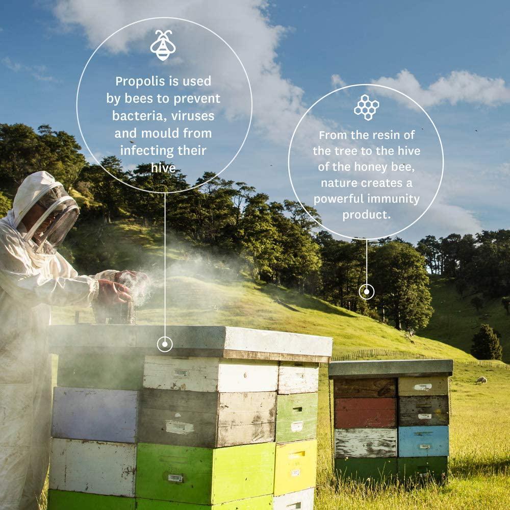 Comvita Propolis Soft Gel Capsules PFL 15, 365ct I Natural Immune Support