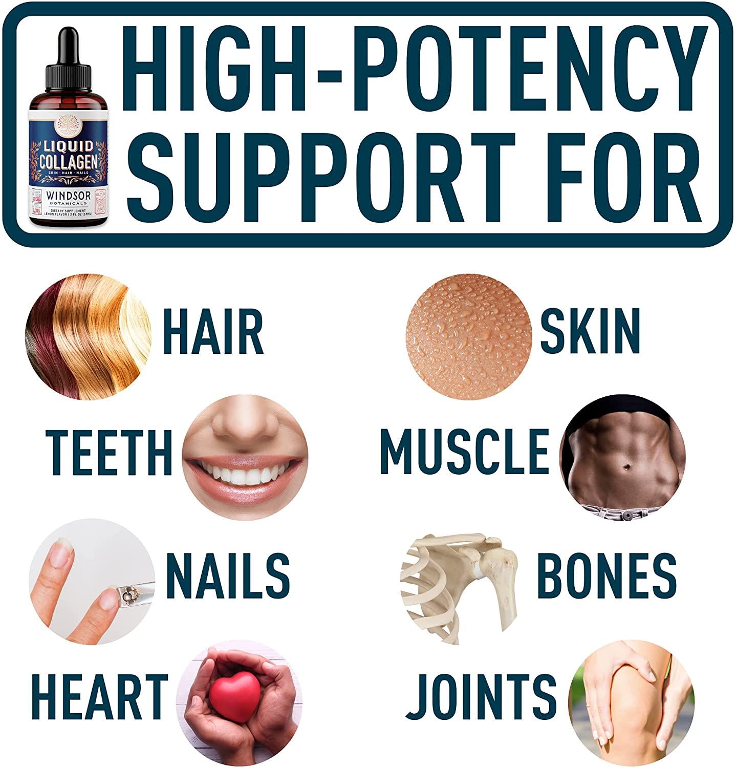 Concentrated Liquid Collagen Peptides Supplement - Hair, Skin, Nail, Joints Support - Sublingual Drops by Windsor Botanicals - 10,000mcg Collagen, 5,000mcg Biotin - Lemon Flavor - 2-Month - 2 oz