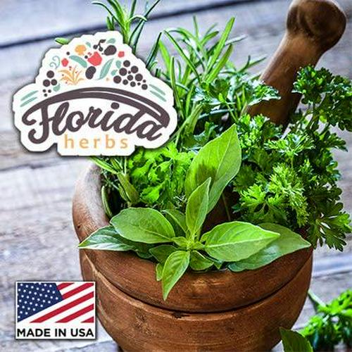 Coptis Tincture Organic Coptis Extract (Rhizoma Coptidis) Dried Root - Organic Supplement - Non GMO Gluten Free in Cold-Pressed Organic Vegetable Glycerine 2 Oz