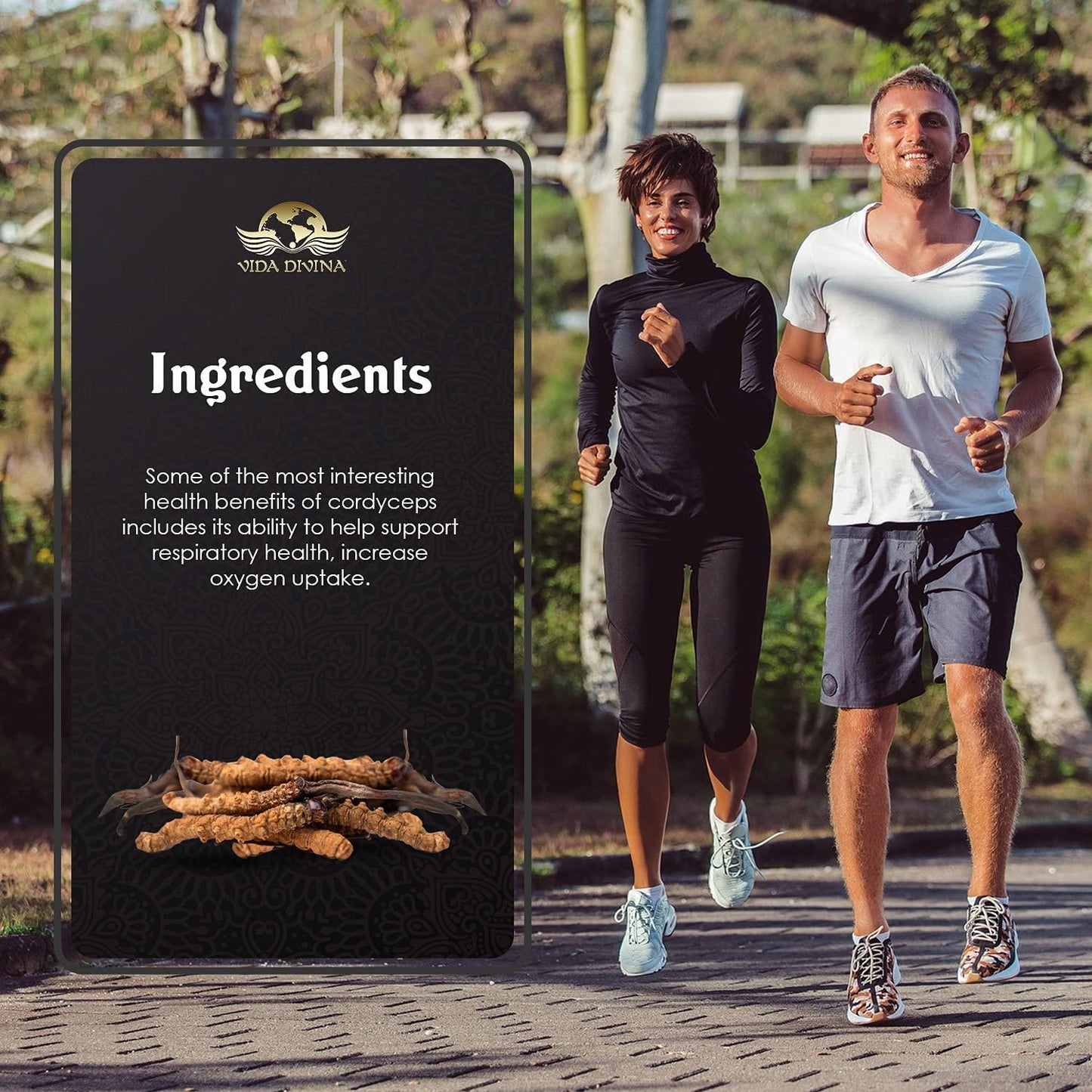 Cordyceps - Helps Promote a Healthy Immune System - Boost Energy - Anti-Aging