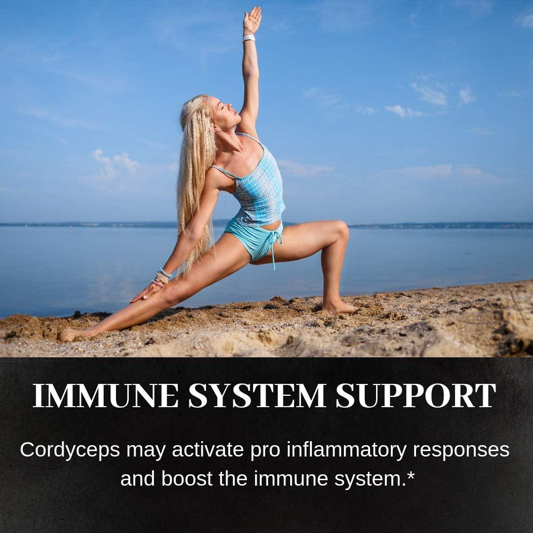 Cordyceps Mushroom Capsules Energy Immune System Asthma AMPK and Adrenal/Kidney Support Dual Extract 30% Beta-D-Glucans