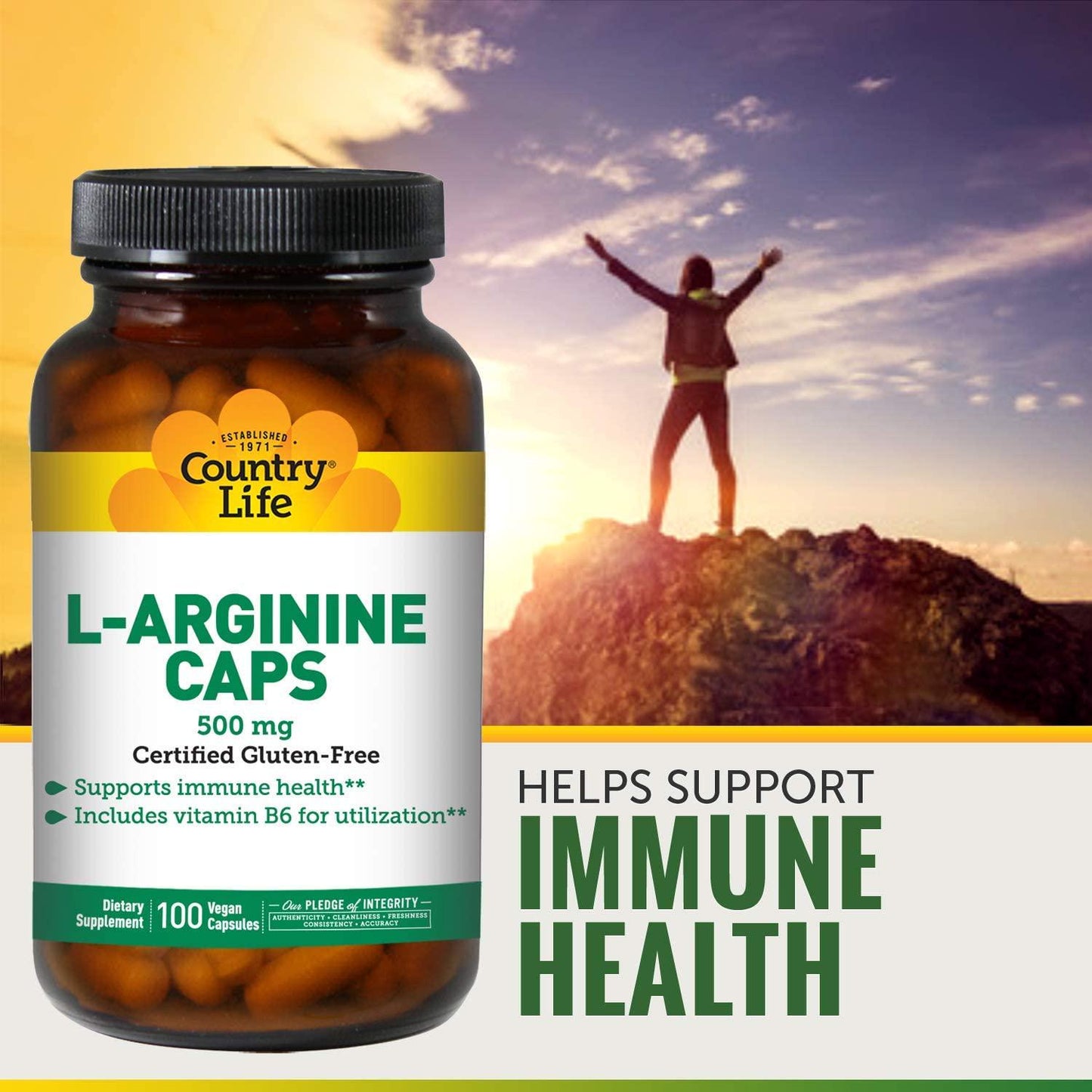 Country Life L-Arginine 500 mg with Vitamin B6-100 Vegetarian Capsules - May Help Support Immune Health - Aids Utilization - Gluten-Free