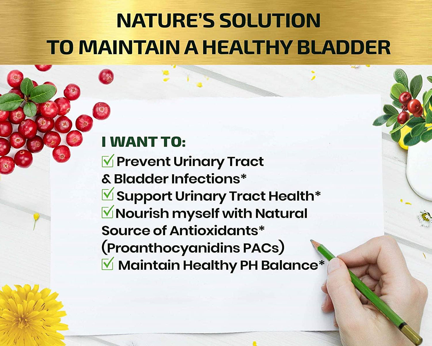 Cranberry Extract Pills - Super Strength 50:1 Whole Fruit Concentrate Equals to 25,000mg of Fresh Cranberries Plus Dandelion and Uva Ursi - Natural UTI Support - Kidney Cleanse and Urinary Tract Health