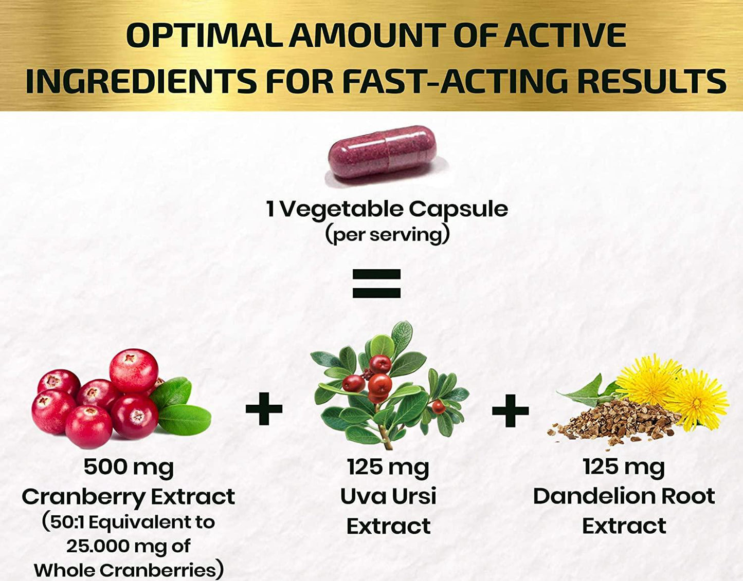 Cranberry Extract Pills - Super Strength 50:1 Whole Fruit Concentrate Equals to 25,000mg of Fresh Cranberries Plus Dandelion and Uva Ursi - Natural UTI Support - Kidney Cleanse and Urinary Tract Health