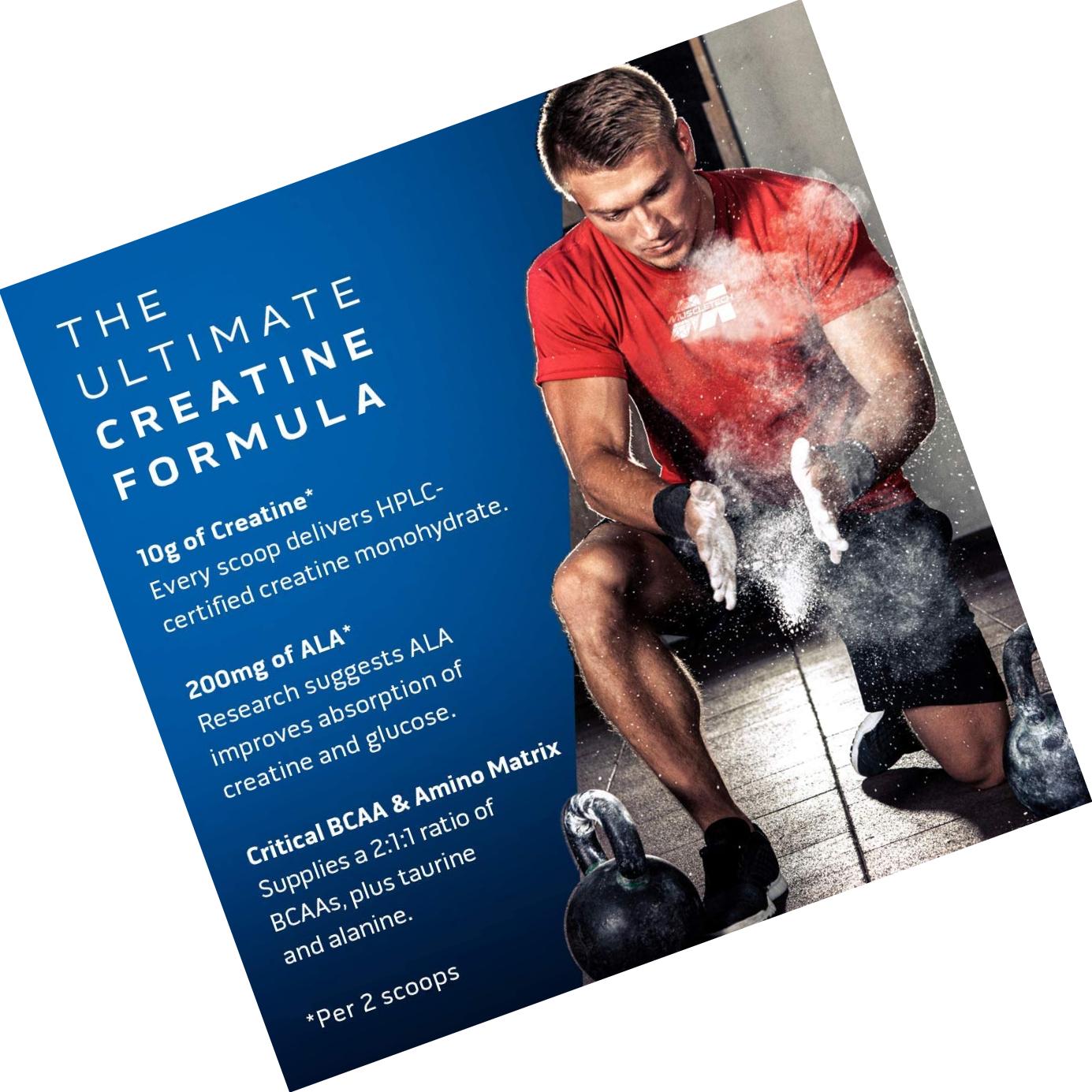 Creatine Monohydrate Powder | MuscleTech Cell-Tech Creatine Powder | Post Workout Recovery Drink | Muscle Builder for Men and Women | Musclebuilding Supplements | Tropical Citrus Punch, 3 lbs (27 Serv)