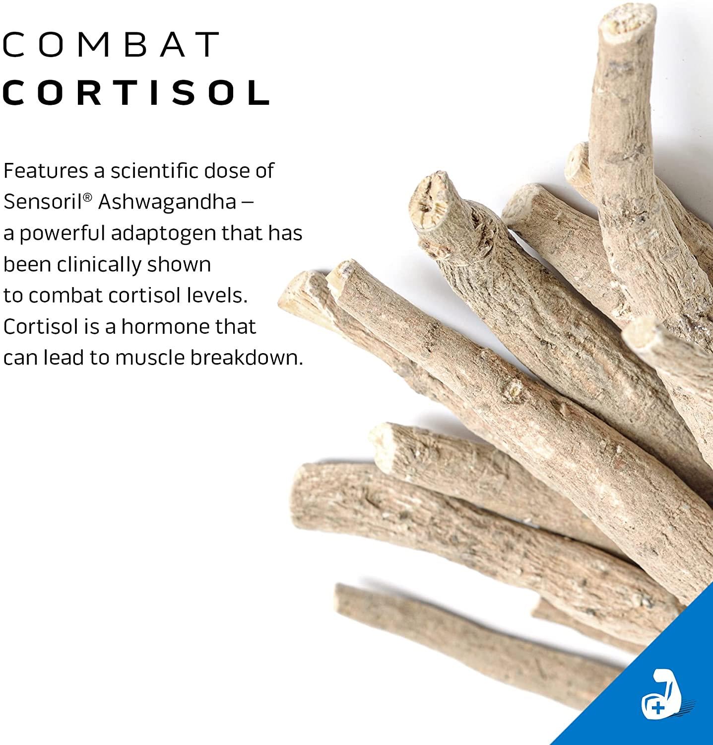 Creatine Monohydrate Powder, MuscleTech Cell-Tech Elite Creatine Powder, Post Workout Drink, Creatine HCl Supplement, Creatine Supplements for Men and Women, Cherry Burst (20 Servings)