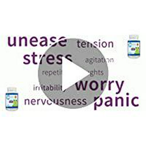 Creekside Naturals Children's Comfort with P5P, L5-HTP, Passionflower, Zinc, Pediatrician Formulated, Zero Sugar, Vegan, Berry Flavor, 45 Soft Chewables