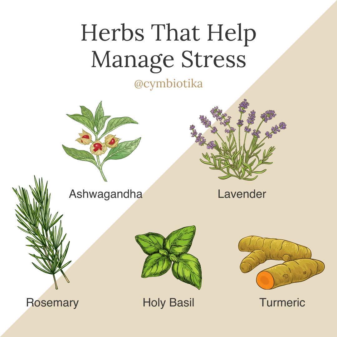 Cymbiotika Adrenal Super Tonic Zinc, Ashwagandha, Lavender, Holy Basil, Moringa Stress and Anxiety + Immune Support Supplement Vegan, Keto, Gluten Free - Berry Flavor