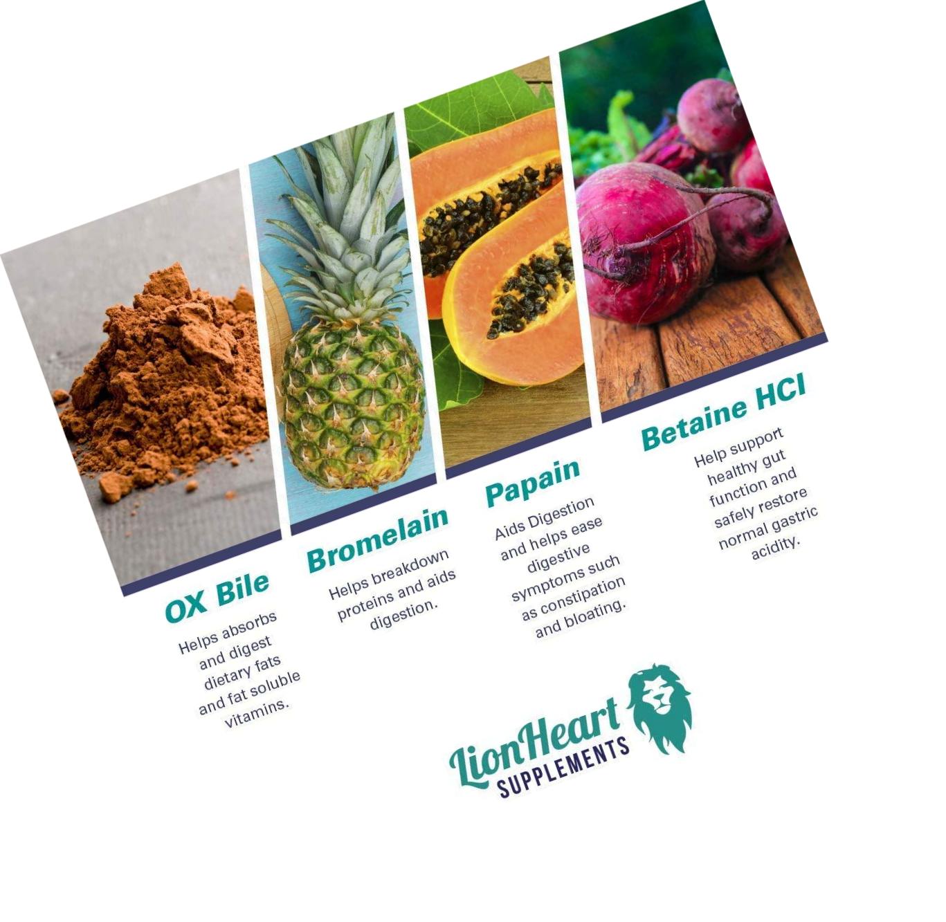 DIGESTIVE ENZYMES SUPPLEMENT - Includes Purified Ox Bile Salts - Tablets for No Gallbladder Sufferers - Enzyme for Digestion and Gas Relief - Helps Bloating, Acid Reflux, Constipation and Repair Leaky Gut