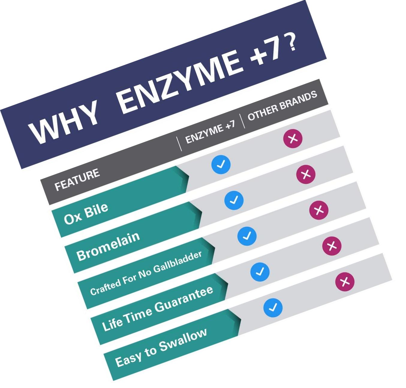 DIGESTIVE ENZYMES SUPPLEMENT - Includes Purified Ox Bile Salts - Tablets for No Gallbladder Sufferers - Enzyme for Digestion and Gas Relief - Helps Bloating, Acid Reflux, Constipation and Repair Leaky Gut