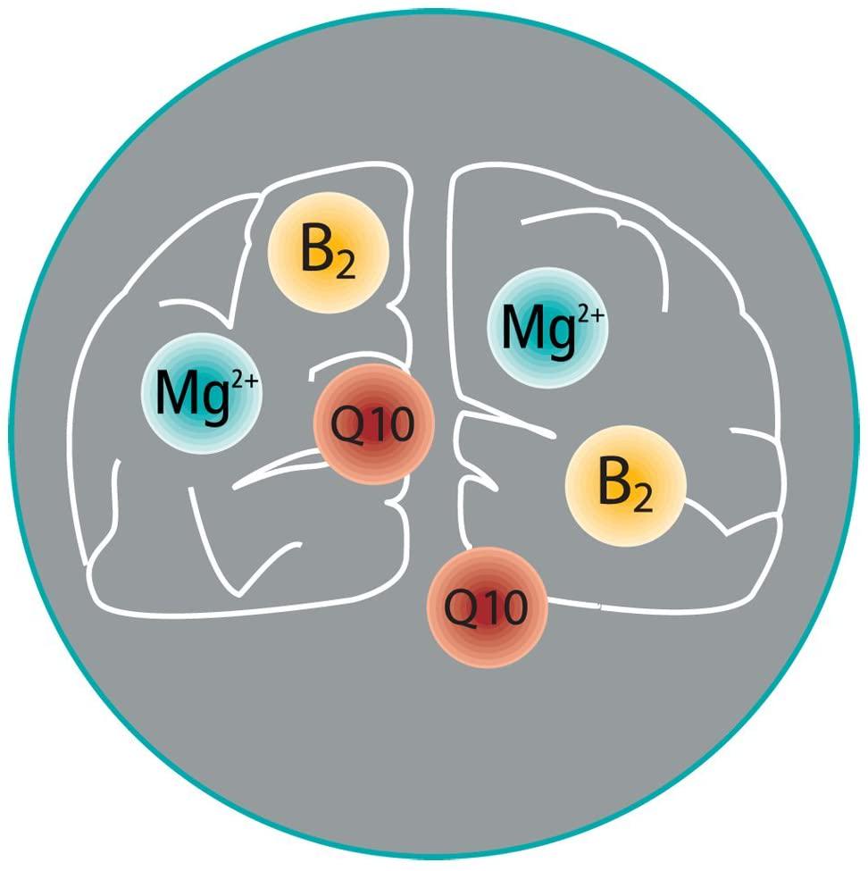 DOLOVENT Dolovent 120caps (PACK OF 1)