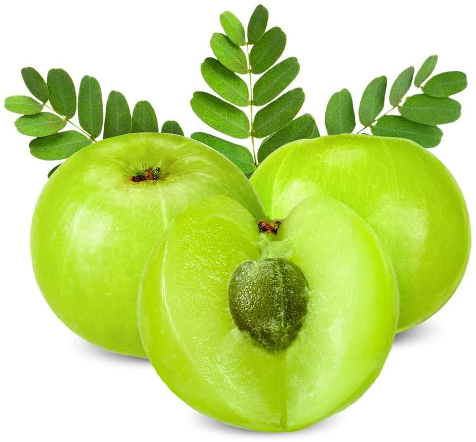 DR. Herbalist | Amla Fruit Power 7.1 OZ (200g), Emblica Officinalis, Amalaki | for Immune Support and Energy