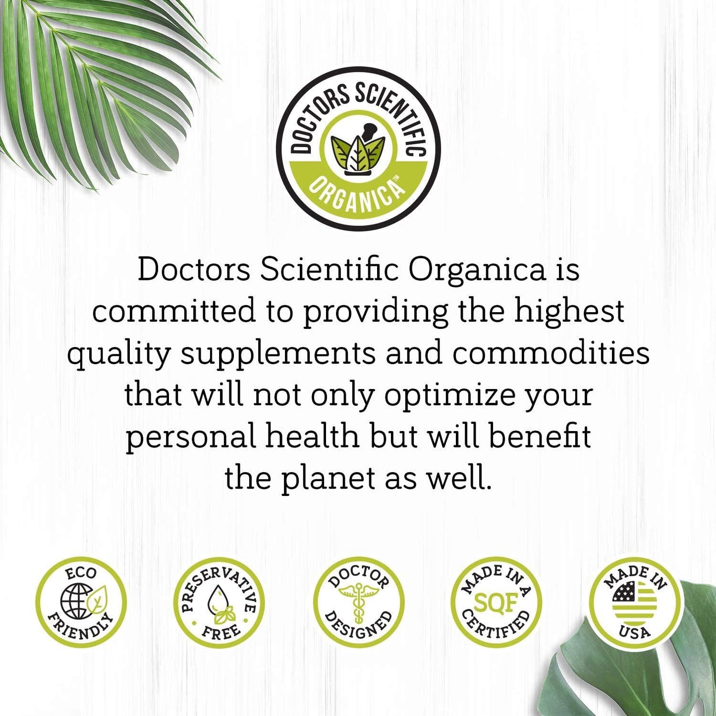 DSO Coq10 100mg Doctor-Designed Formula Maximum Effectiveness Coenzyme Coq10 - High Absorption Cholesterol Support - 90 Capsules Biodegradable Bag