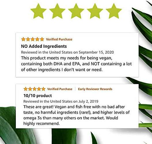 DSO Omega 3 Algae Supplement - 90 Capsules - Plant Based Fish Oil Vegan Supplement Alternative EPA and DHA Supplements - Heart Stress Relief and Weight Loss - Eco-Friendly Packaging - Made in The USA