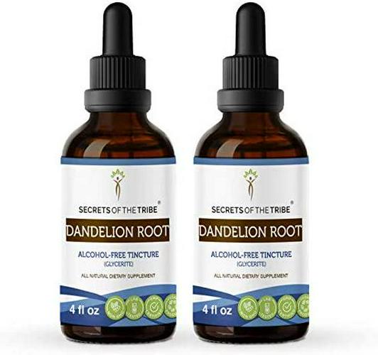 Dandelion Root Alcohol-Free Liquid Extract, Organic Dandelion (Taraxacum Officinale) Dried Root Tincture Supplement (2x4 FL OZ)