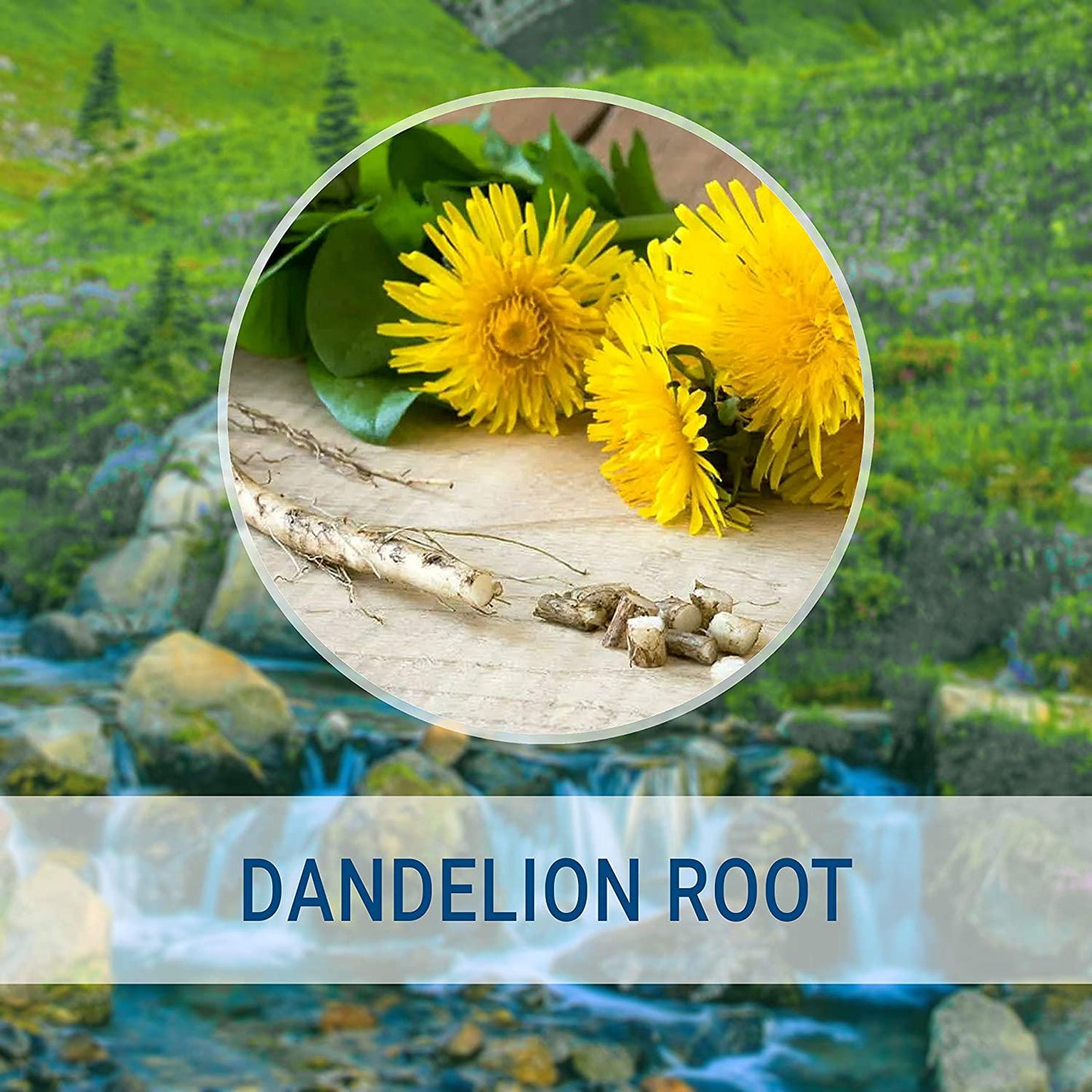 Dandelion Root Liquid Extract 4 fl oz | Rich in Antioxidants | Anti-Inflammatory | Immune System Booster | Blood Pressure Support | Non-GMO