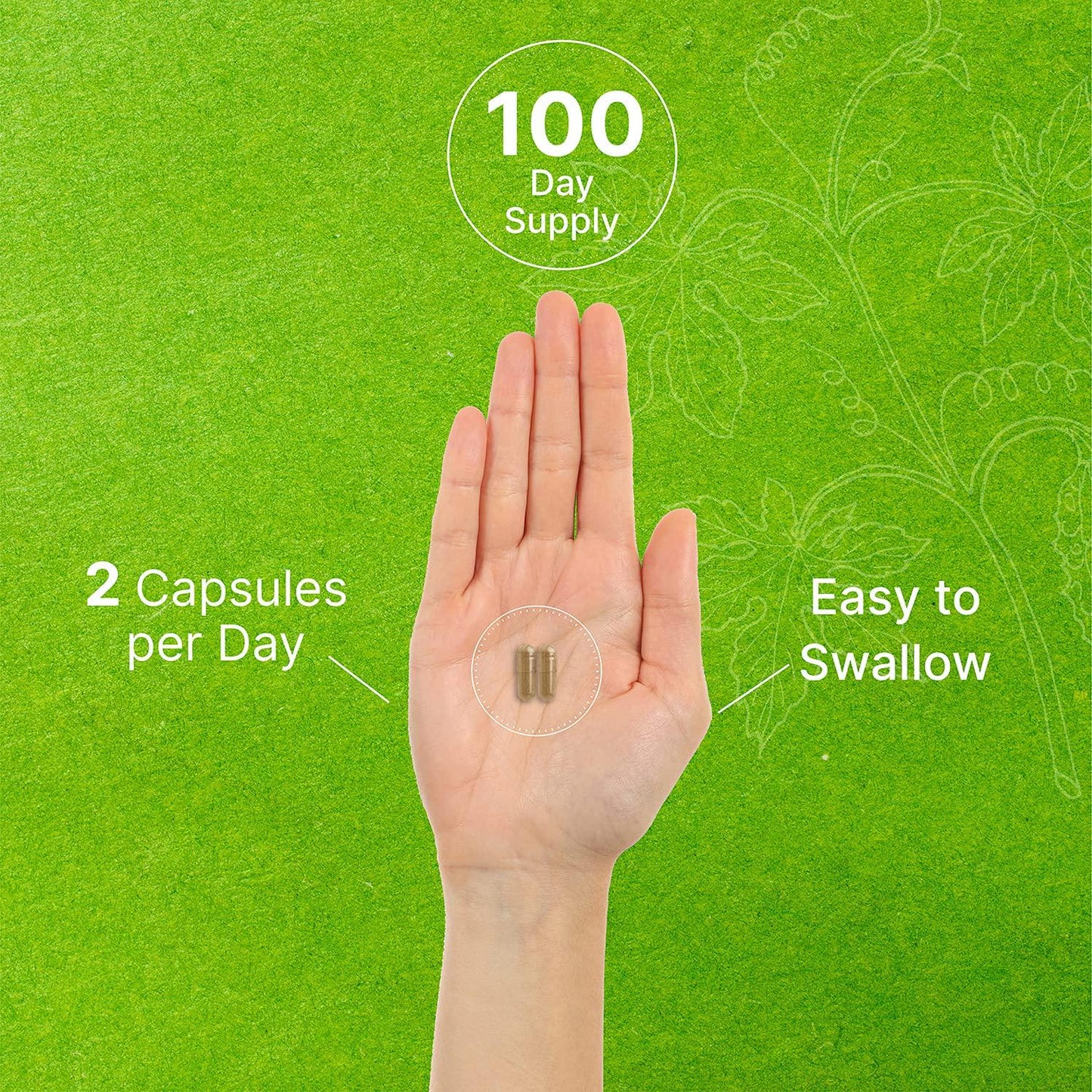 Deal Supplement Bitter Melon 750mg, 180 Capsules, Balanced Blood Sugar Level Support, Non-GMO, Made in USA (180 Caps)