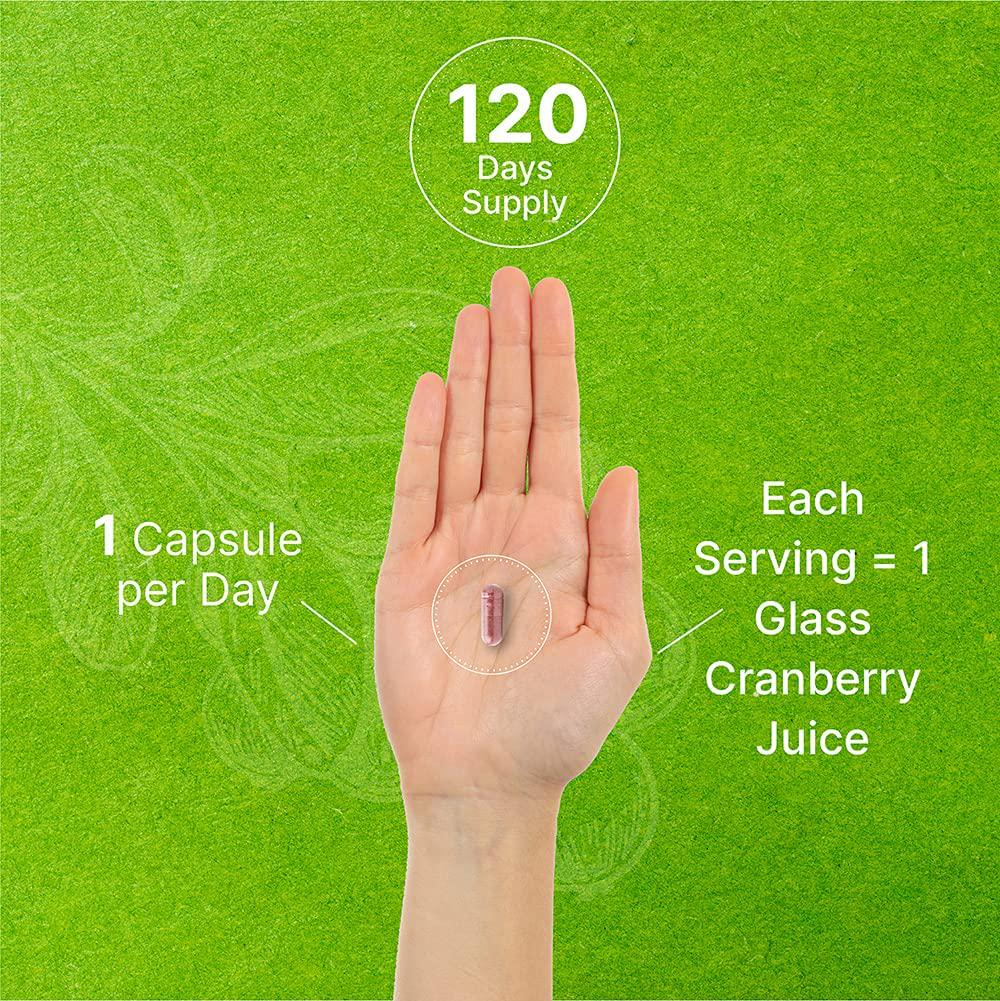 Deal Supplement Cranberry Fruit Concentrate 100:1- Equals to 40,000 mg Fresh Cranberries- Fortified with Vitamin C, 120 Capsules, Cleanse and Protect Urinary Tract, Immune Booster - 3 Months Supply