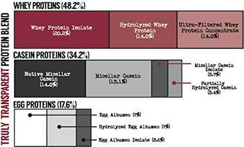 Deca PRO 10-Source Protein Matrix (Blackout Chocolate)