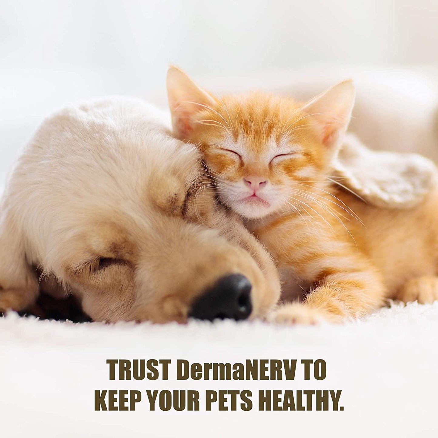 DermaNERV (1oz) - Nerve Support