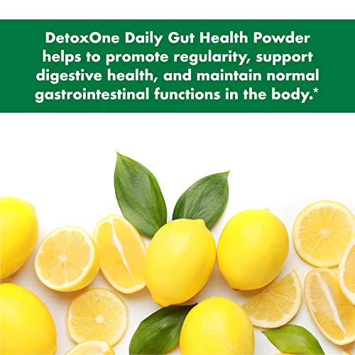 DetoxOne Daily Gut Health Powder for Weight Loss | Daily Detox Cleanse Supports Normal/Health Digestive Function*| Promotes Detoxification*, Boost Energy and Improves Nutrient Absorption*