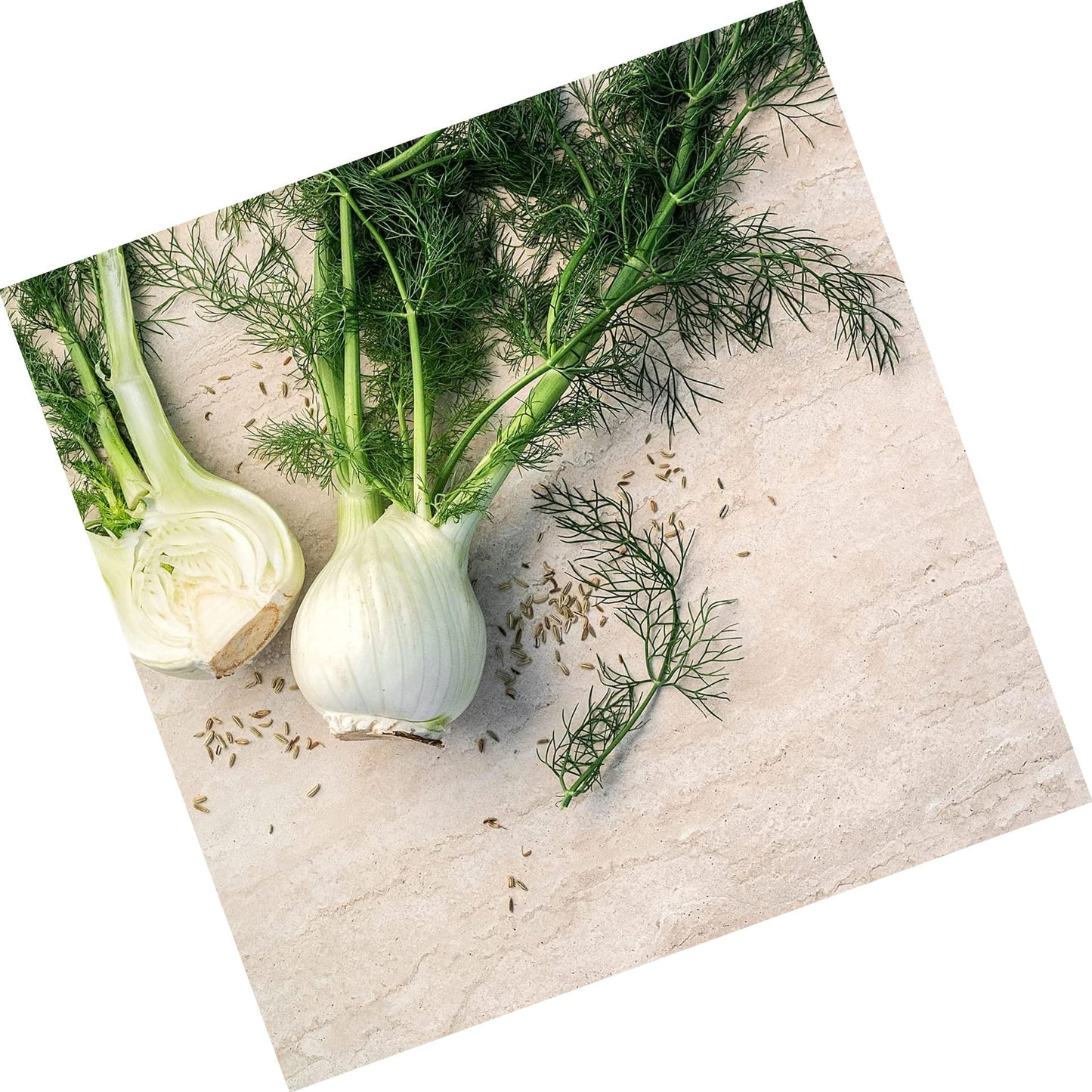 Detoxzyme 180 vegetarian caps .3 lb by Young Living Essential Oil