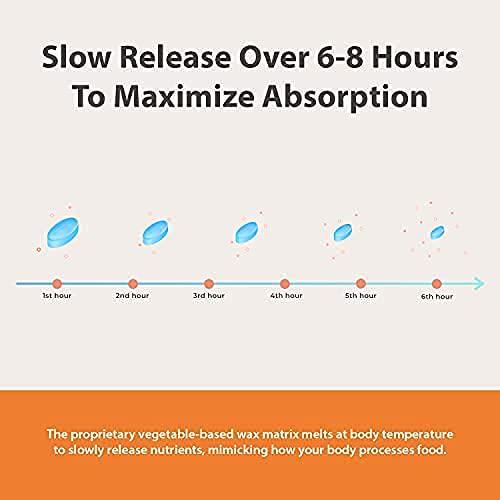 DiHydroBerberine -Sustained Release(5-7 Hours) Highly Bio Available Form of Berberine-150mg 60 Tabs - Maintain Healthy Blood Glucose* - Promote Healthy Cholesterol and Lipid Metabolism*