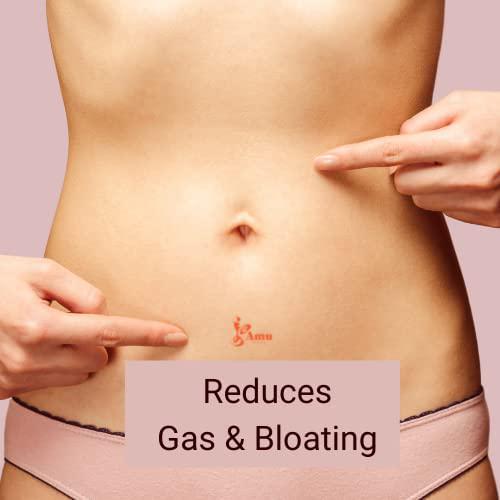 Digestion Formula Powder 7oz /198 gr, Helps Healthy Digestion, Helps Reduce Gas and Bloating, Better Digestion, Improved Absorption of Nutrients and Digestion Supplement