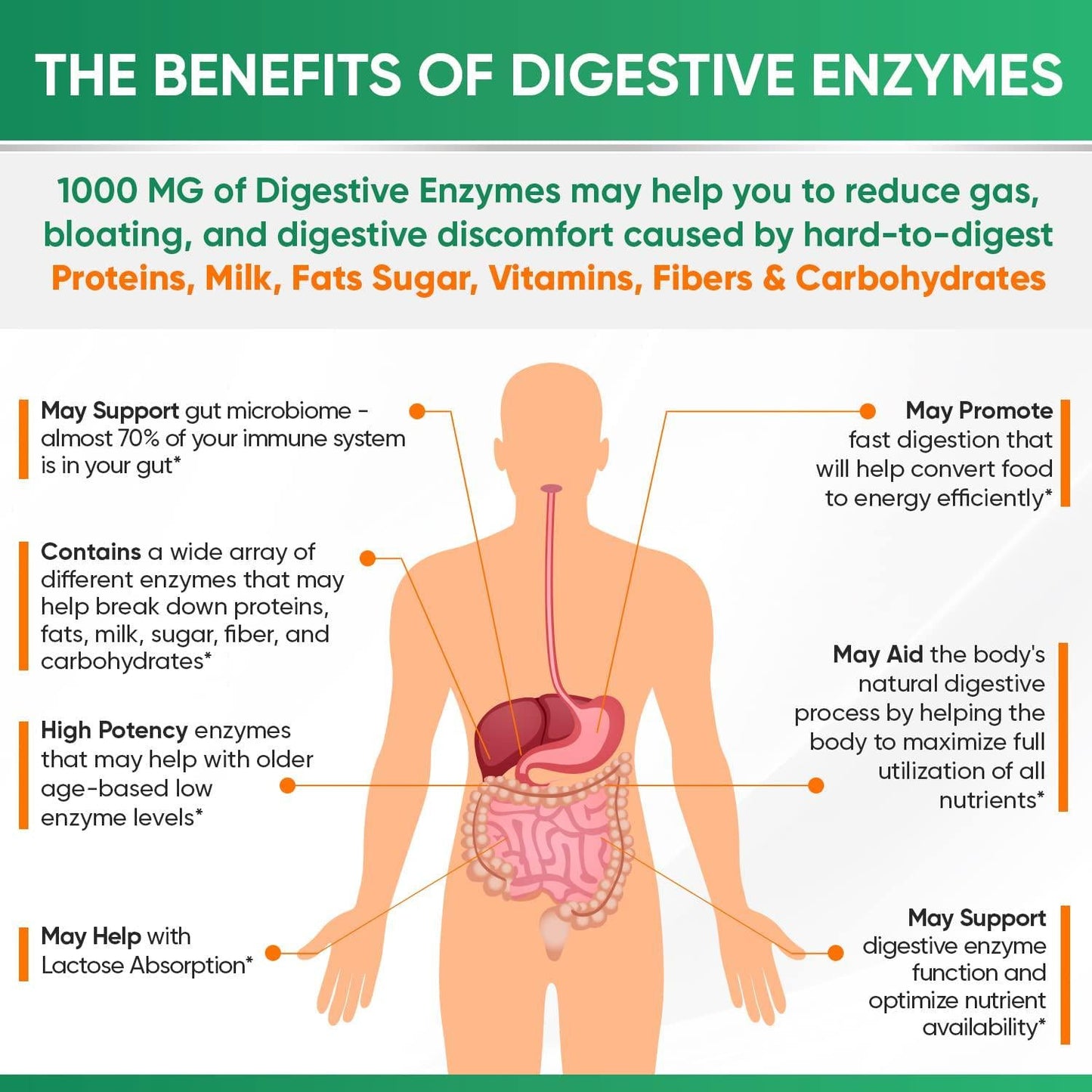 Digestive Enzymes 1000MG Plus Prebiotics and Probiotics Supplement, 180 Capsules, Organic Plant-Based Vegan Formula for Better Digestion and Lactose Absorption with Amylase and Bromelain, 1-2 Month Supply