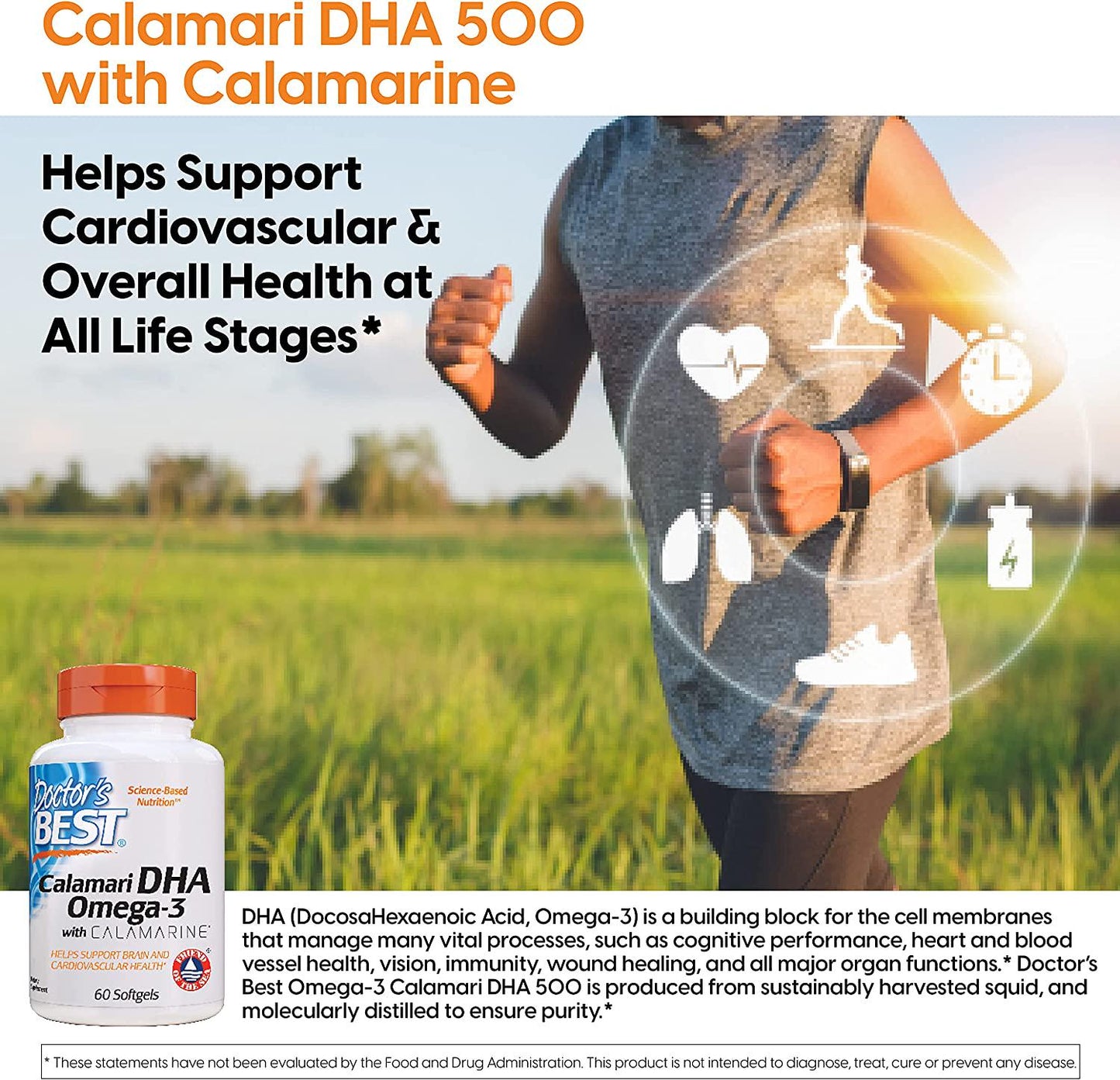 Doctor's Best DHA 500 with Calamarine, Supports Cognitive Performance, Cardiovascular, Cell, Tissue and Organs, 60 Softgels